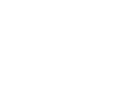 Vivitek logo